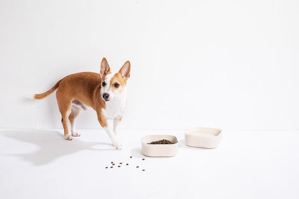 Venandi Design Pet Bowl - Natural White